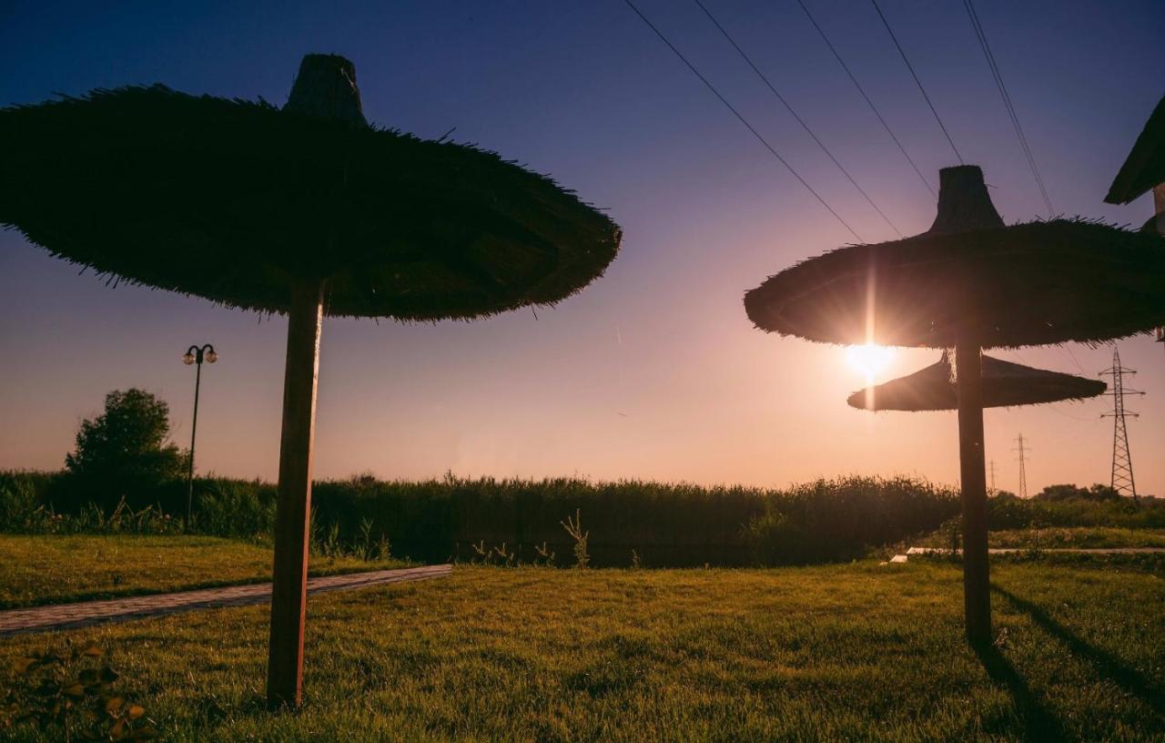 Pensiunea Obretin All Inclusive Mila Douazeci si Trei Exterior photo
